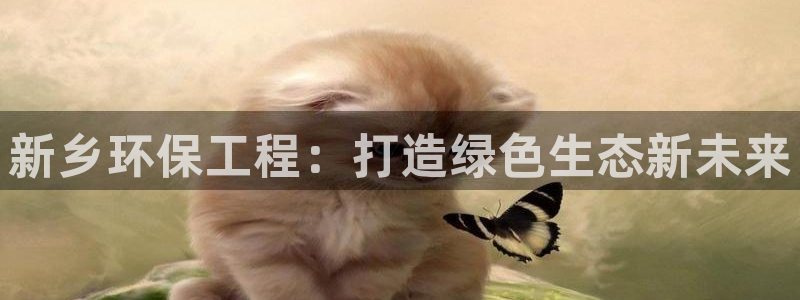 彩名堂官网网页计划：新乡环保工程：打