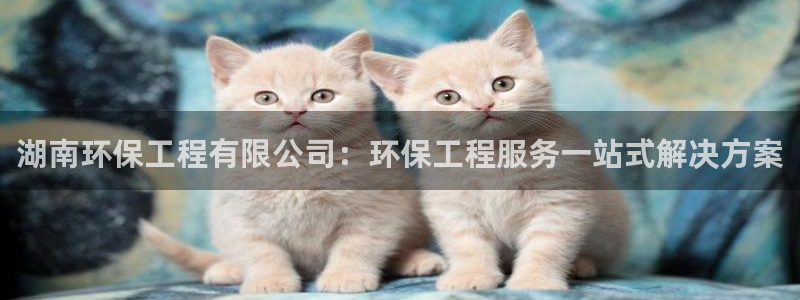 彩名堂人工计划怎么找不到下载了?：湖
