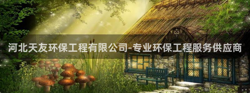 彩名堂免费计划下载：河北天友环保工程
