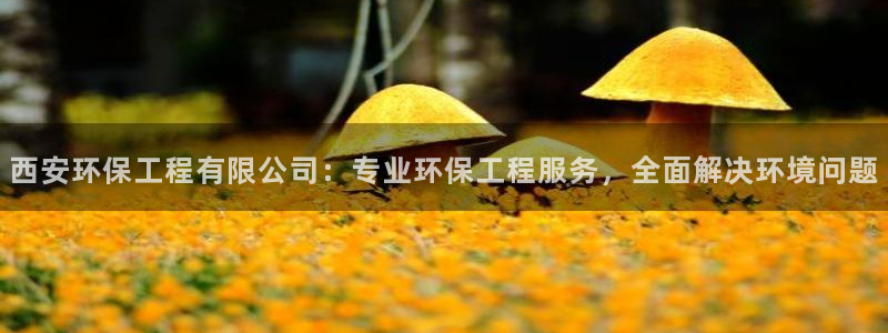 彩名堂免费计划官网老版本：西安环保工