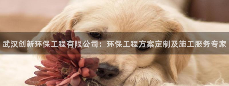 彩名堂不能用了吗：武汉创新环保工程有