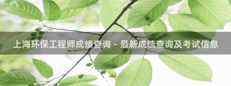 彩名堂下载官网：上海环保工程师成绩查