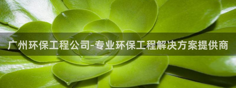 彩名堂预测免费计划app-彩名堂预测