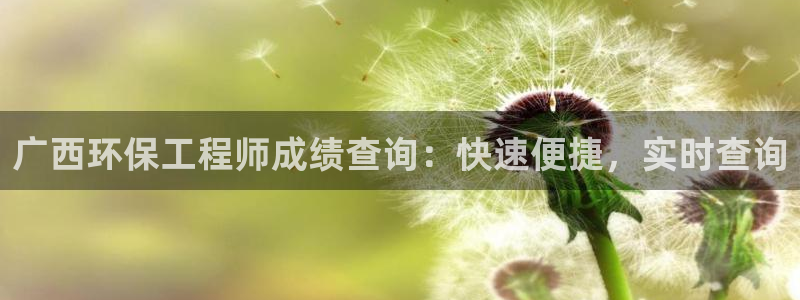 彩名堂为什么用不了了：广西环保工程师成绩查询：快速便捷，实时查询