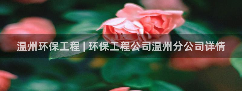 彩名堂app计划官方网站：温州环保工