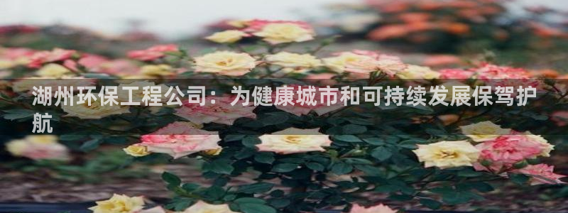 彩名堂移动客户端：湖州环保工程公司：