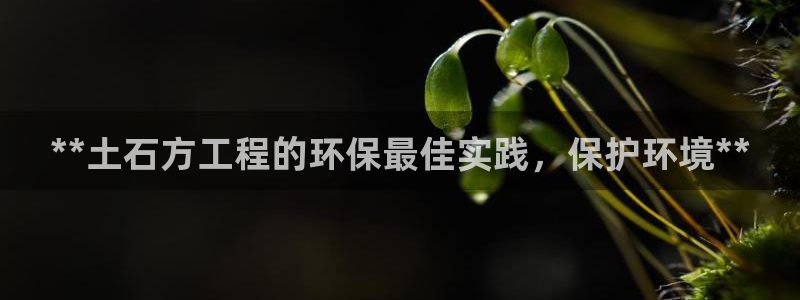 彩名堂计划怎么买胜率高：**土石方工