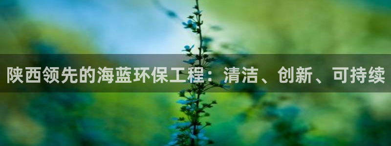 老版彩名堂：陕西领先的海蓝环保工程：