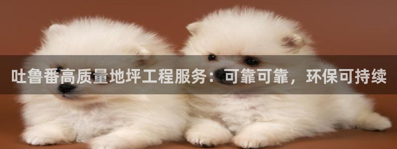 彩名堂5.0!：吐鲁番高质量地坪工程