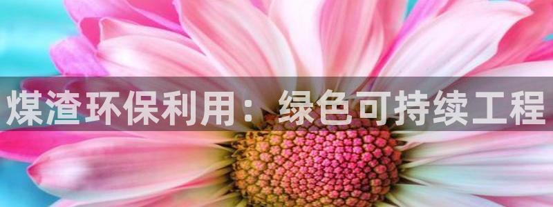 谁知道彩名堂网站是多少：煤渣环保利用