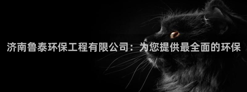 彩名堂加拿大怎么买准确率高：济南鲁泰