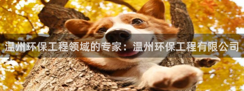 彩名堂预测软件与分析：温州环保工程领域的专家：温州环保工程有限公司