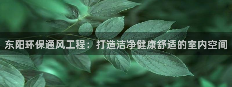 彩名堂计划怎么看：东阳环保通风工程：