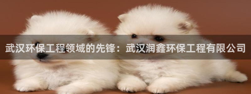 彩名堂app彩名堂客户端：武汉环保工
