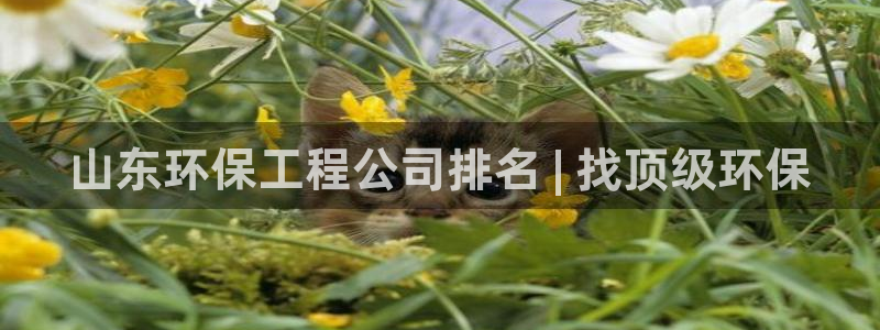 彩名堂app2.05版本：山东环保工