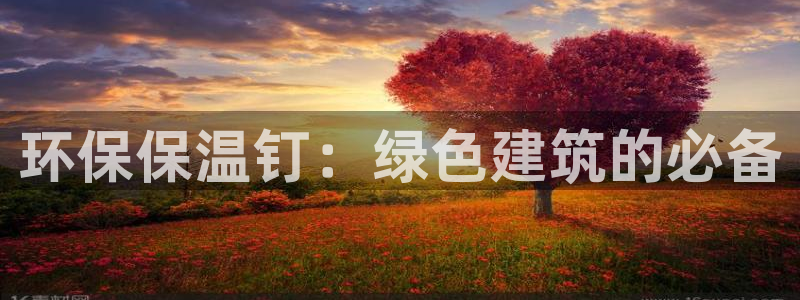 彩名堂怎么打最稳：环保保温钉：绿色建筑的必备