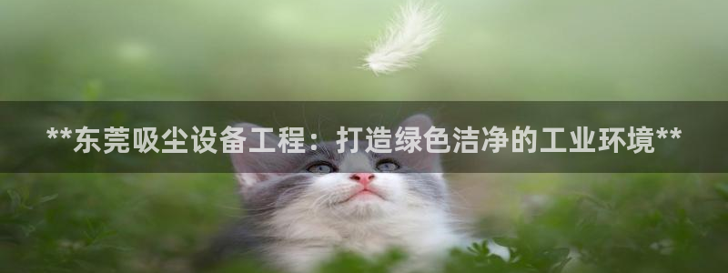 彩名堂官网计划01：**东莞吸尘设备