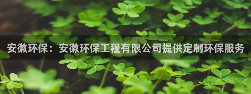 彩名堂旧版本：安徽环保：安徽环保工程