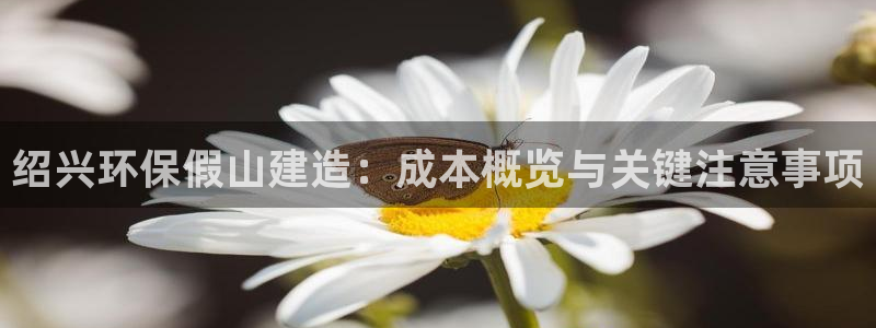 彩名堂官网在线计划怎么不更新了：绍兴