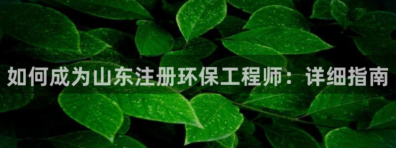 如何进入彩名堂官网更新：如何成为山东
