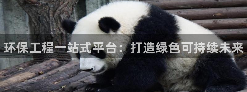 彩名堂官网计划01：环保工程一站式平