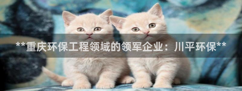 彩名堂975新版本：**重庆环保工程