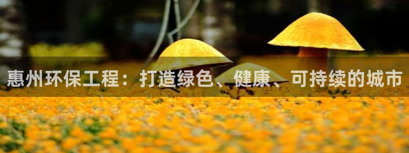 彩名堂使用方法：惠州环保工程：打造绿