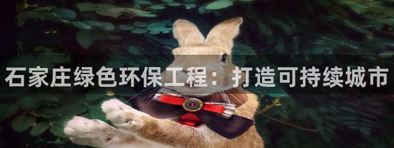 彩名堂免费计划5.0使用方法是什么：