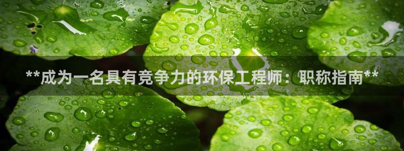 彩名堂用不了：**成为一名具有竞争力的环保工程师：职称指南**