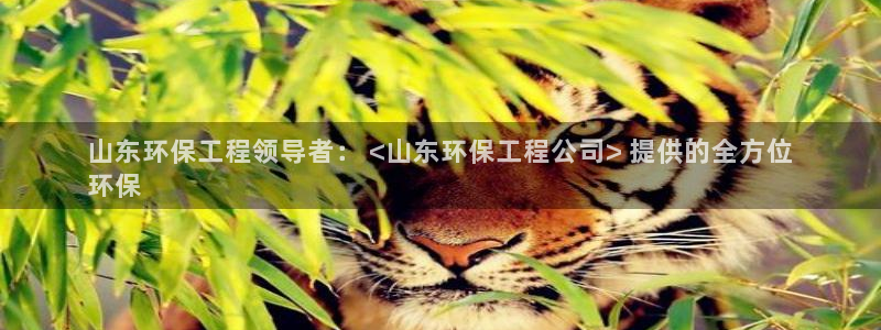 彩名堂一直不出结果怎么回事儿：山东环