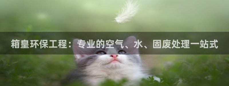 彩名堂首页：箱皇环保工程：专业的空气