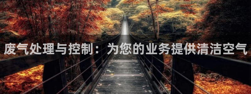 彩名堂预测软件：废气处理与控制：为您