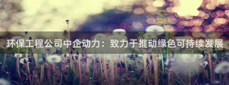 彩名堂计划app新版：环保工程公司中