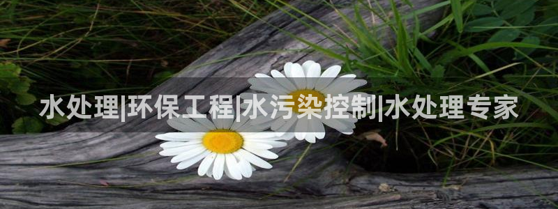彩名堂官方平台：水处理|环保工程|水