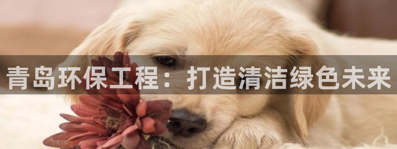彩名堂免费计划官网怎么进不去了呀：青