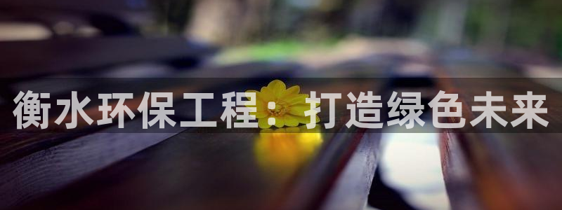 彩名堂客户端加拿大：衡水环保工程：打