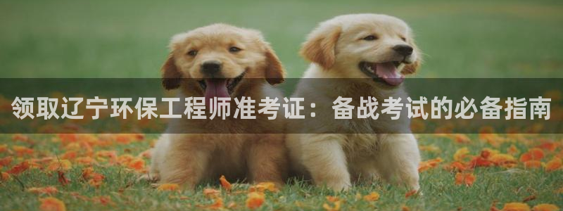 彩名堂幸运飞船计划：领取辽宁环保工程