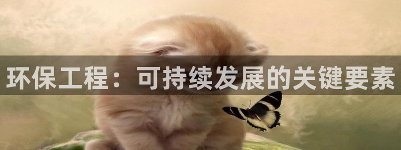 彩名堂5.0计划永久免费版为什么下不