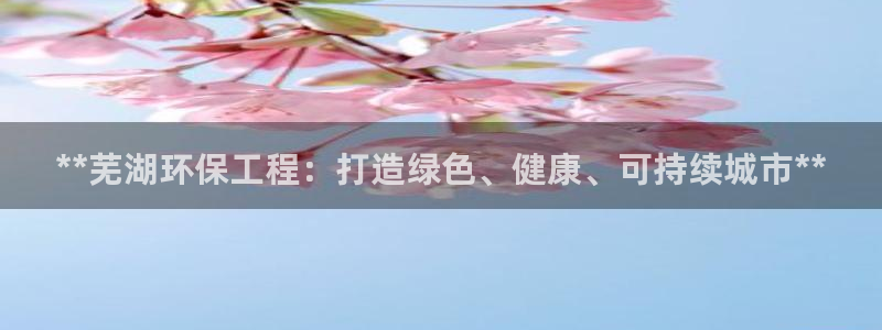 彩名堂人工计划客户端：**芜湖环保工