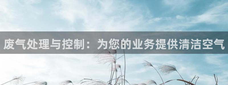 最新彩名堂计划：废气处理与控制：为您