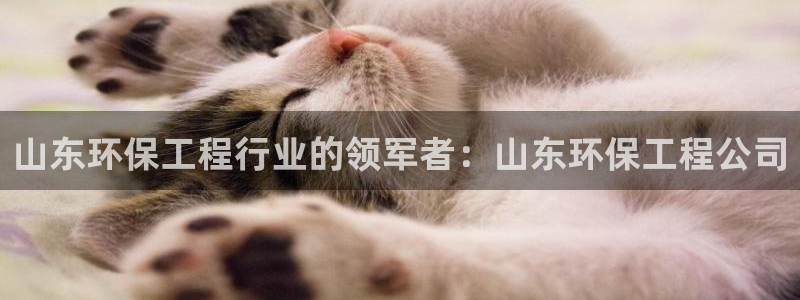 彩名堂官网计划01：山东环保工程行业