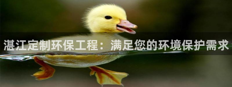 彩名堂怎么不能用了：湛江定制环保工程
