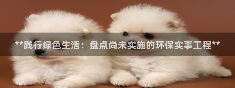 彩名堂是正规的公司吗：**践行绿色生