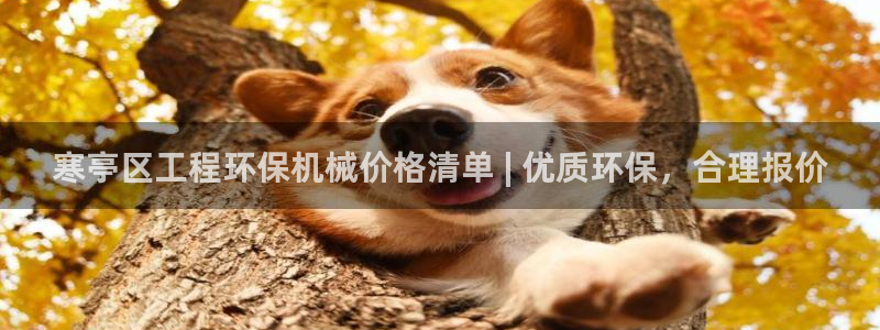 彩名堂怎么用不输：寒亭区工程环保机械