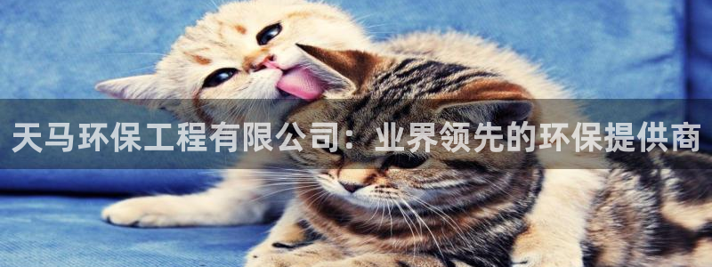 彩名堂双彩网：天马环保工程有限公司：