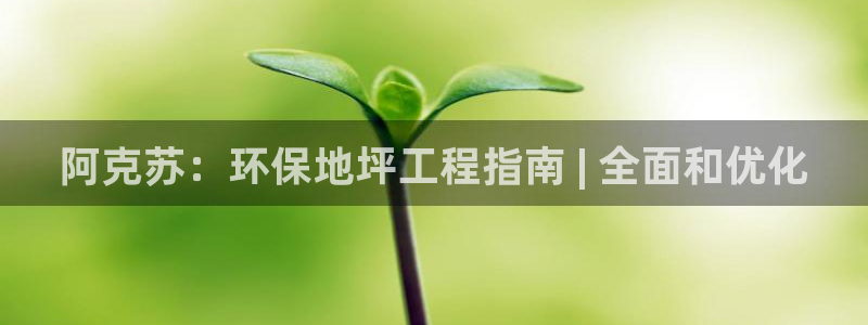 如何进入彩名堂官网更新：阿克苏：环保地坪工程指南 | 全面和