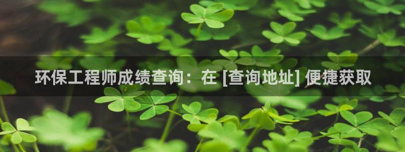彩名堂app彩名堂客户端：环保工程师成绩查询：在 [查询地址