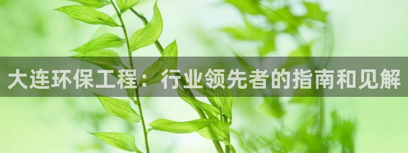 彩名堂客户端是永久免费吗是真的吗：大连环保工程：行业领先者的