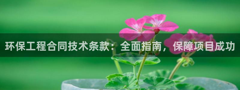 彩名堂改名稻草人了吗是真的吗：环保工程合同技术条款：全面指南