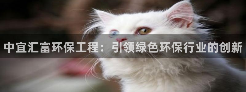 彩名堂为啥又不能用了：中宜汇富环保工程：引领绿色环保行业的创